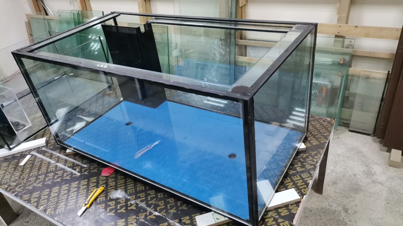 Aquarium Relocation Services in Dubai gallery image (1)