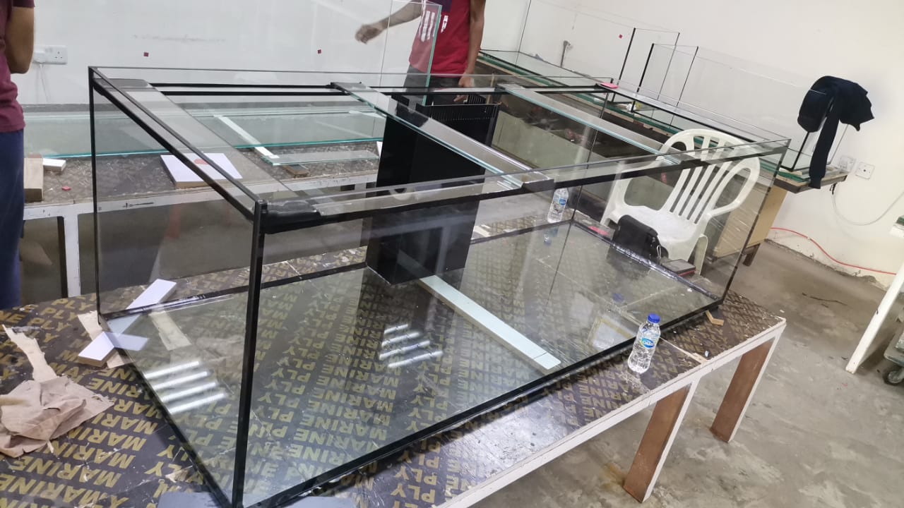 Aquarium Relocation Services in Dubai gallery image (10)