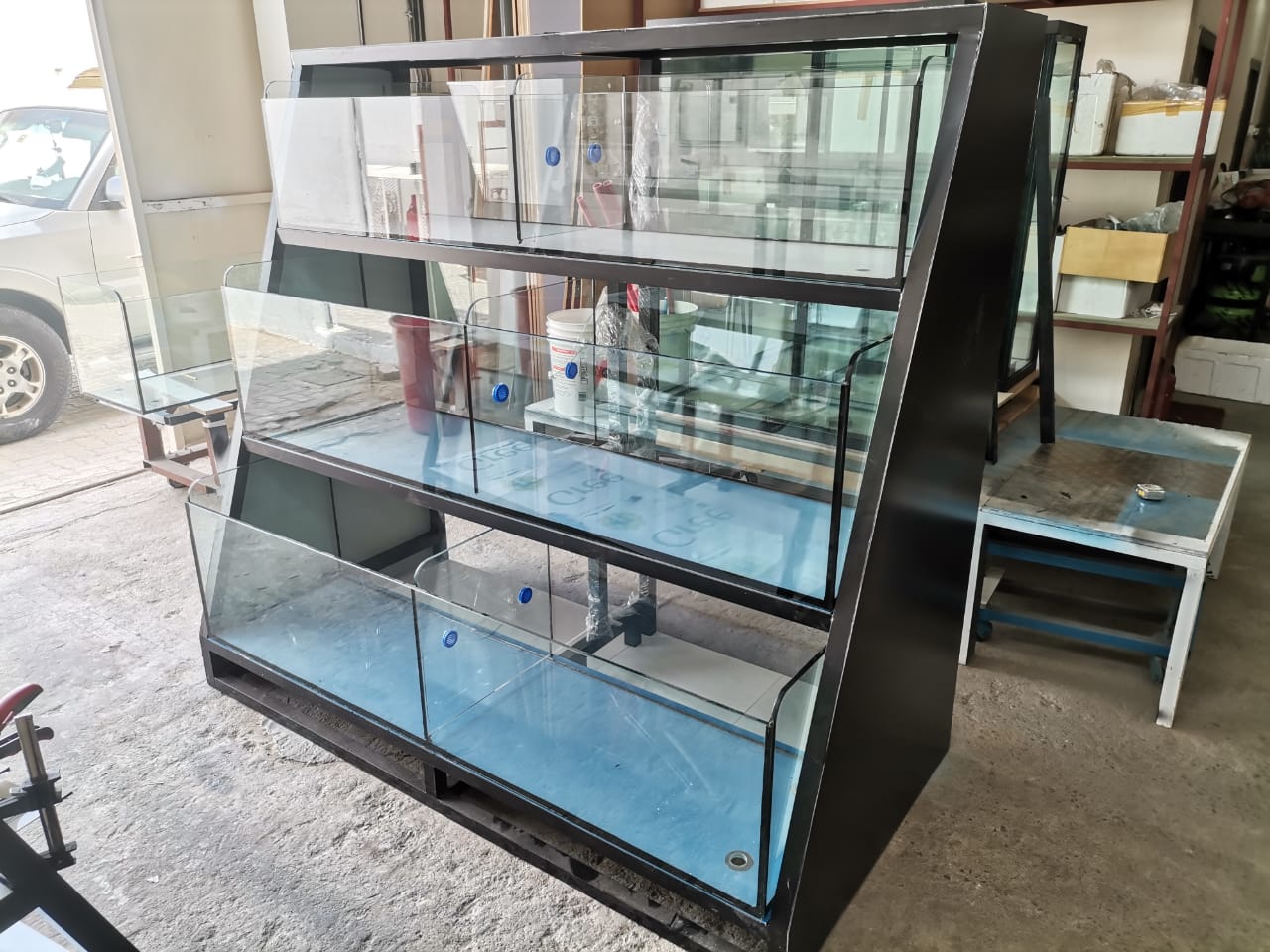 Aquarium Relocation Services in Dubai gallery image (11)
