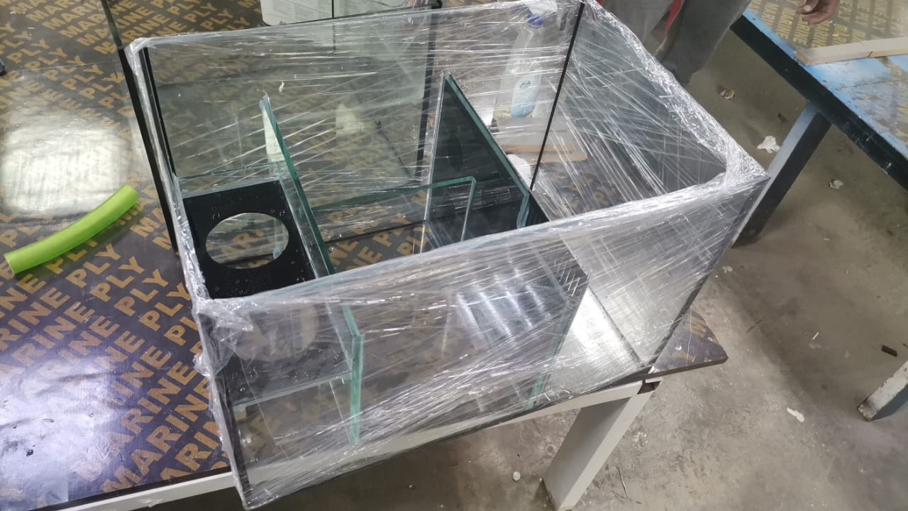 Aquarium Relocation Services in Dubai gallery image (13)