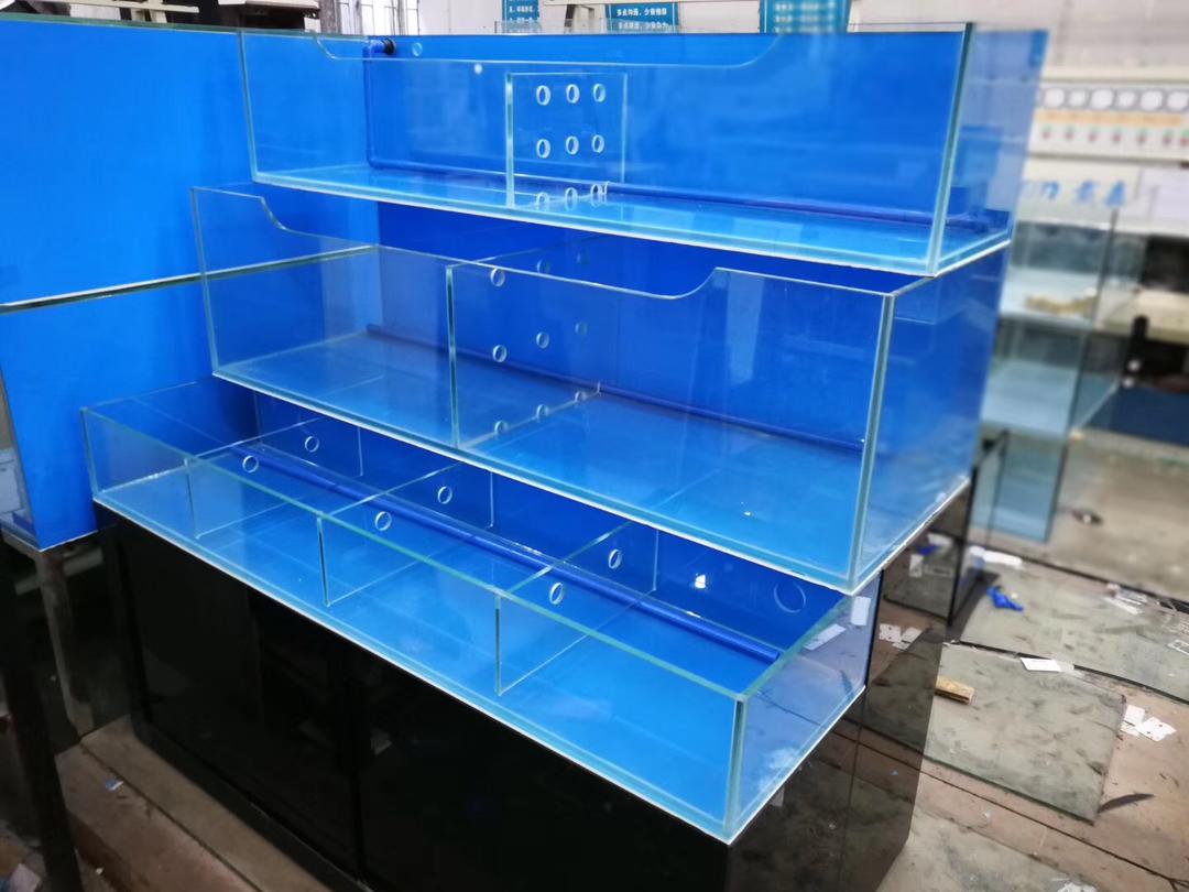 Aquarium Relocation Services in Dubai gallery image (16)