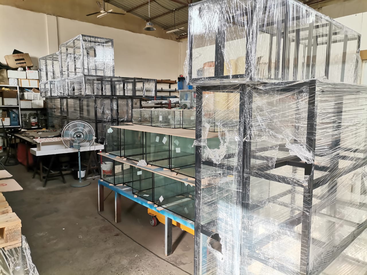 Aquarium Relocation Services in Dubai gallery image (2)