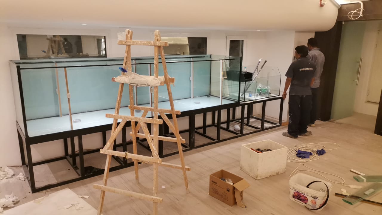 Aquarium Relocation Services in Dubai gallery image (20)