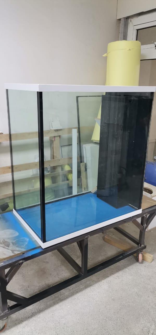 Aquarium Relocation Services in Dubai gallery image (22)