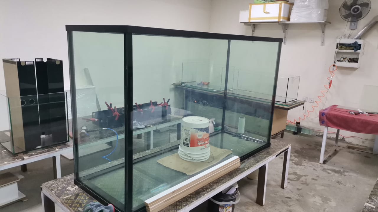 Aquarium Relocation Services in Dubai gallery image (7)