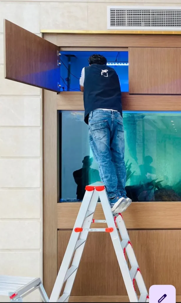 Professional aquarium Design & Installation by fishtank