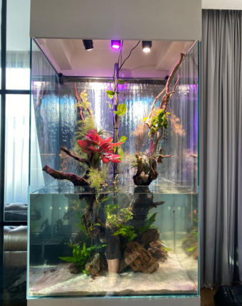 custom aquarium