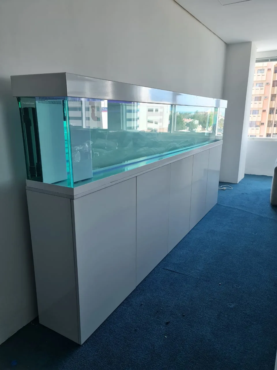 fishtank custom aquarium image (1)