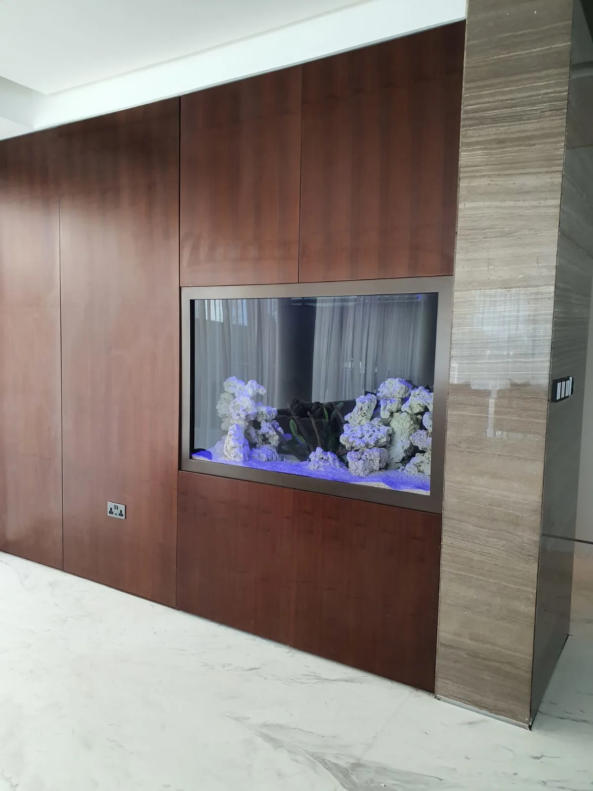 fishtank custom aquarium image (10)