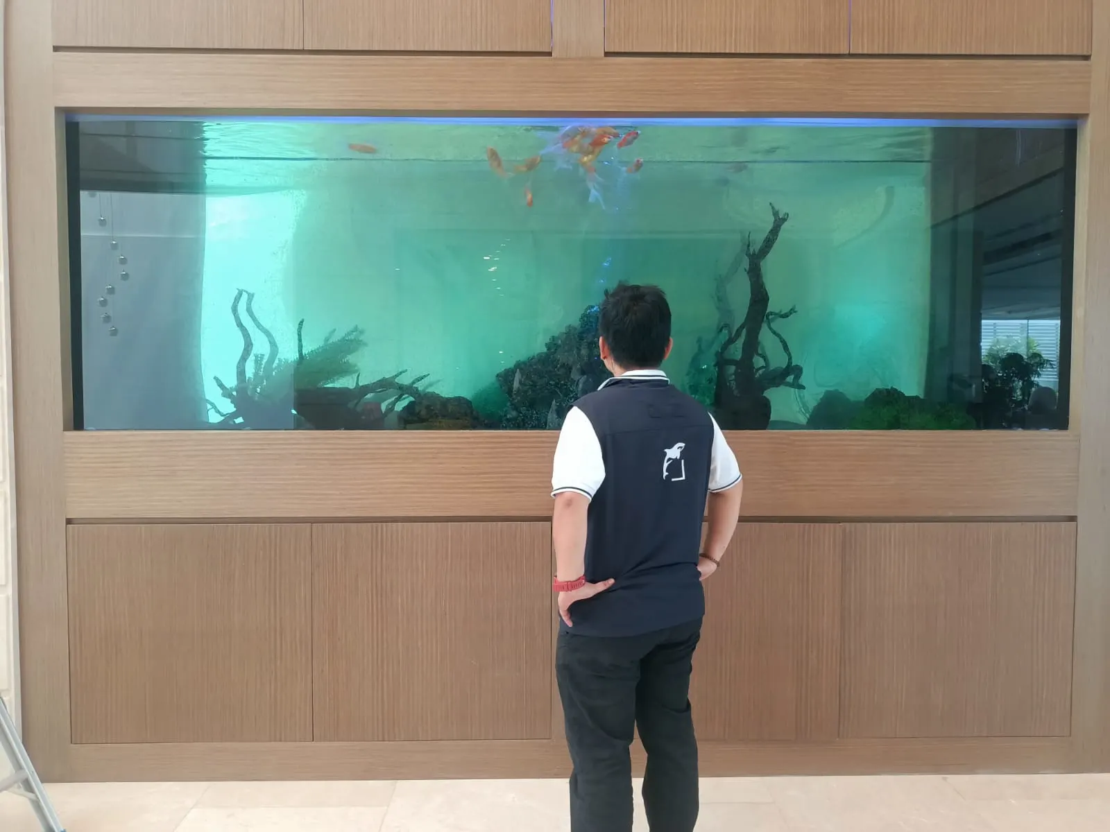 fishtank custom aquarium image (16)