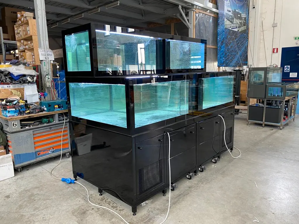 fishtank custom aquarium image (18)