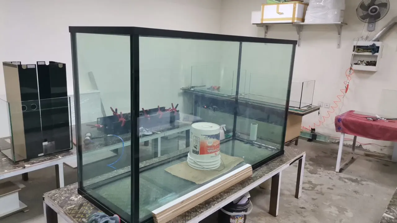 fishtank custom aquarium image (25)