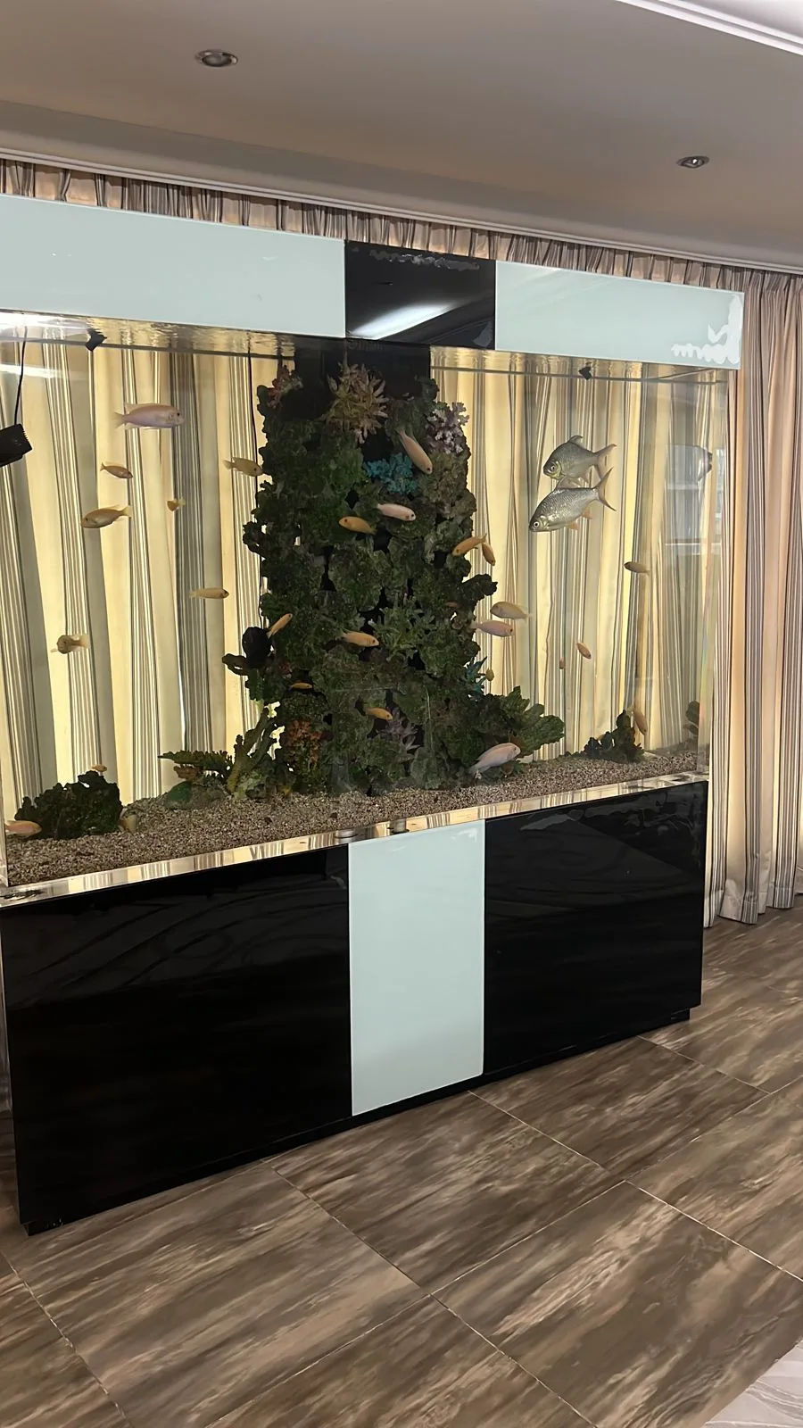 fishtank custom aquarium image (4)