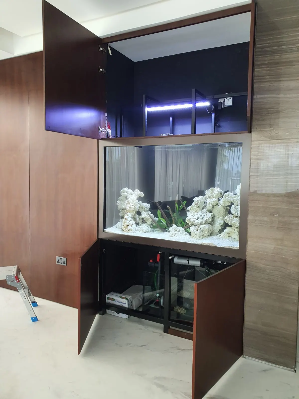 fishtank custom aquarium image (8)