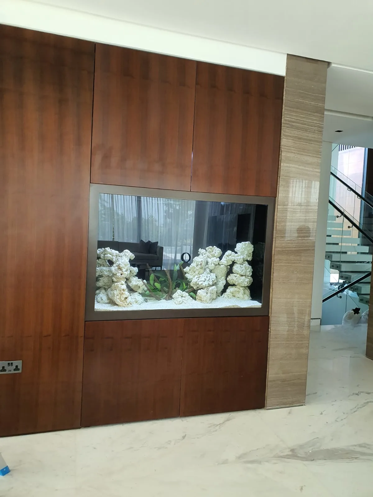 fishtank custom aquarium image (9)
