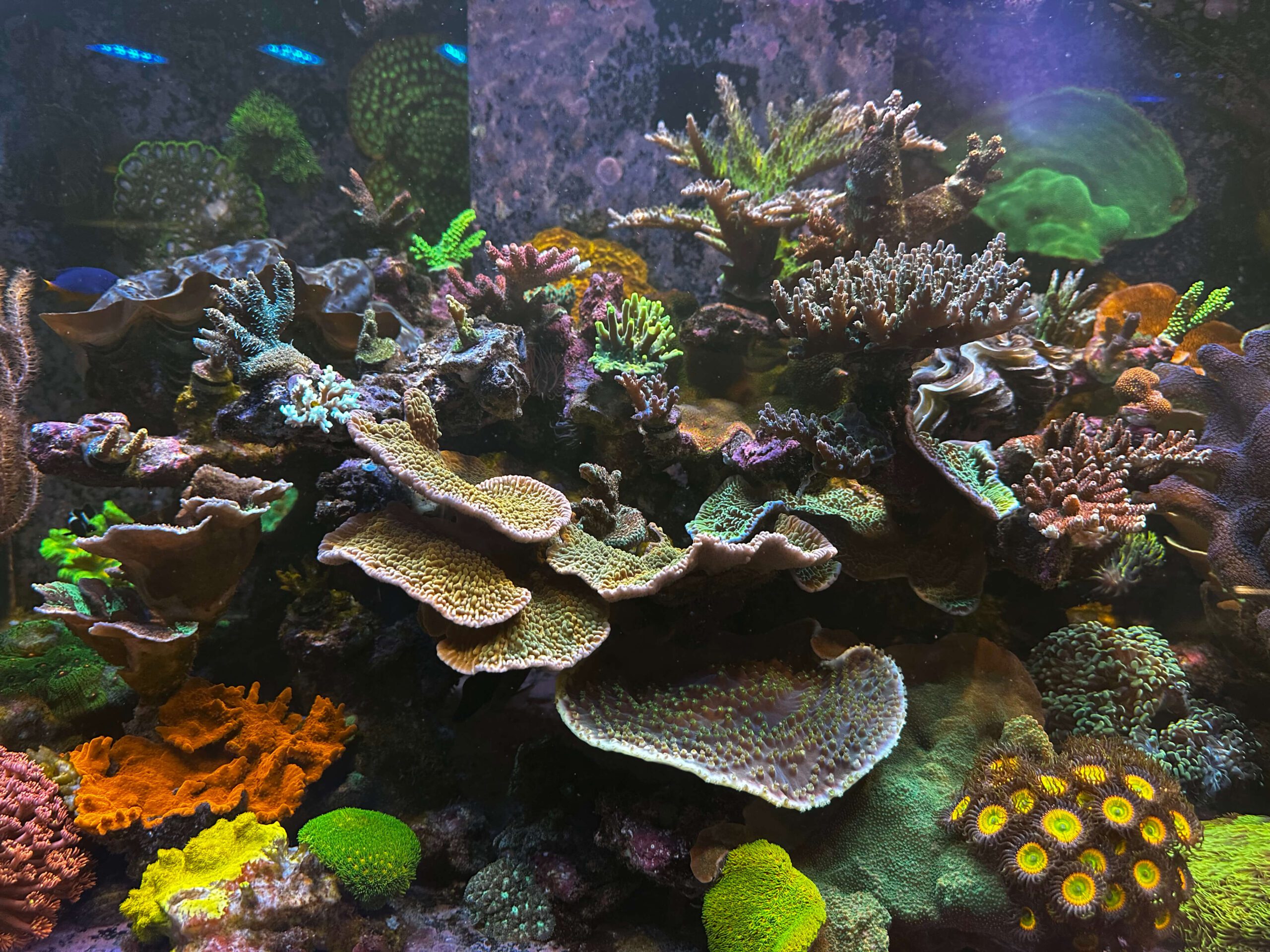 fishtank sustainability image