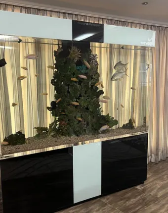 homepage gallery images (3)