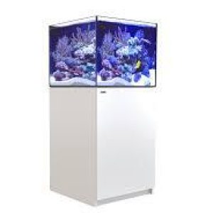 REEFER-170-G2-WHITE