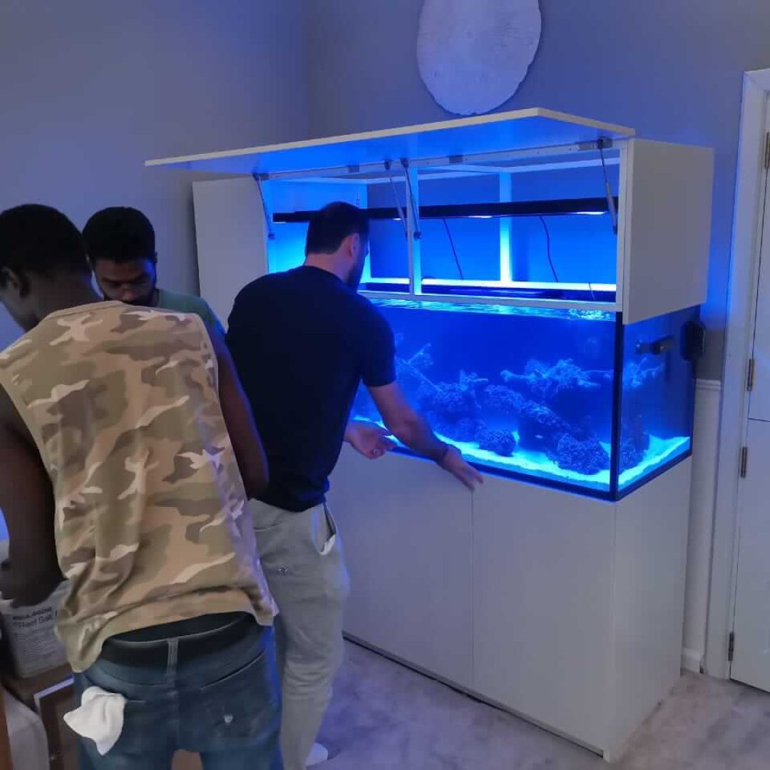 fishtank Custom Aquarium Design & Installation in Dubai, UAE